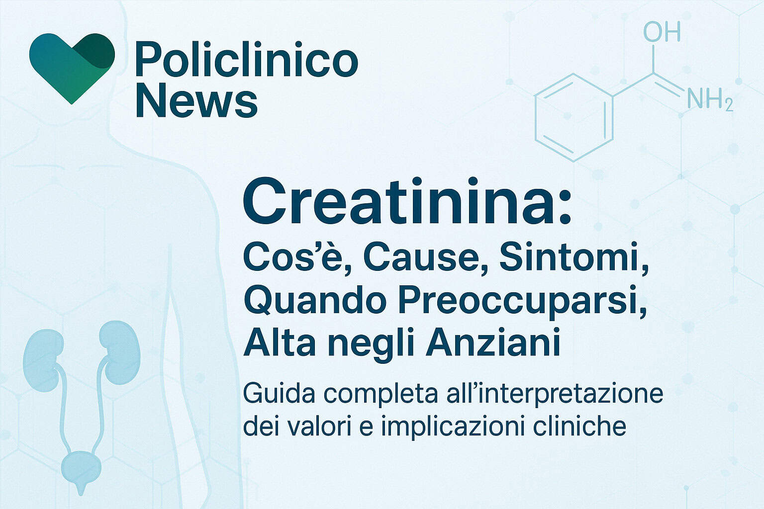 Creatinina: Cos'è, Cause, Sintomi, Quando preoccuparsi, alta negli ...