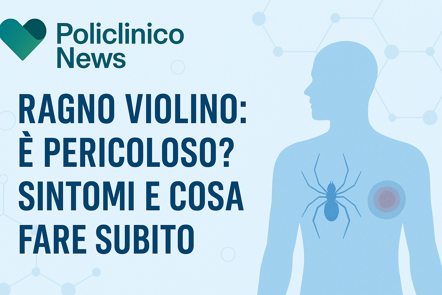 Il Ragno Violino: È Pericoloso e Mortale? Cosa fare subito e Sintomi ...